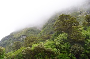 Bestand 28-03-16 14 37 30