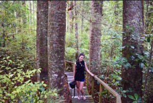 Bestand 28-03-16 14 37 42