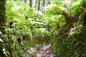 Bestand 28-03-16 14 39 28