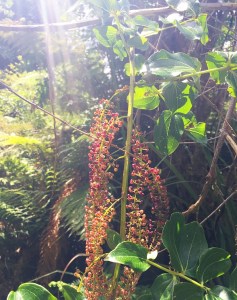 Bestand 28-03-16 14 39 44