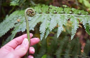 Bestand 28-03-16 14 40 15